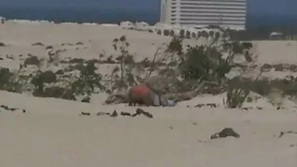 Russische meisjes met grote ogen die in hun kont lange erotische films neuken.