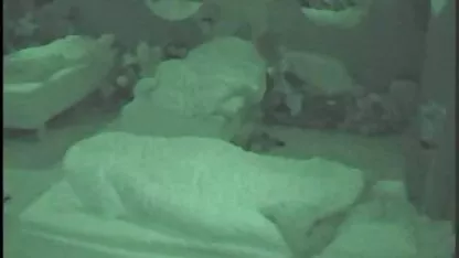 Hete moeder met gebogen vorm geeft haar een erotiche films lul in de vagina